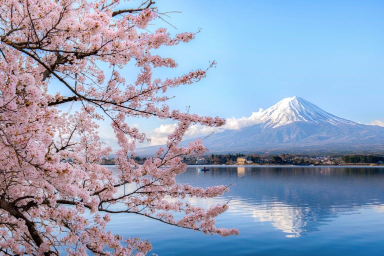 © @fotolia